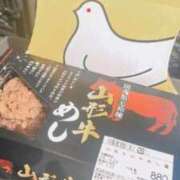 ヒメ日記 2025/04/24 17:02 投稿 はつね CECIL