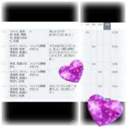 ヒメ日記 2025/07/21 18:06 投稿 はつね CECIL