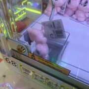 ヒメ日記 2025/08/19 10:10 投稿 はつね CECIL