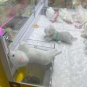 ヒメ日記 2025/09/18 19:07 投稿 はつね CECIL