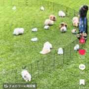 ヒメ日記 2025/09/22 23:40 投稿 はつね CECIL