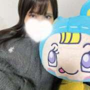 ヒメ日記 2025/10/31 12:16 投稿 はつね CECIL