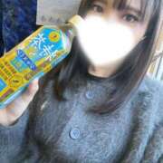 ヒメ日記 2025/10/31 14:03 投稿 はつね CECIL