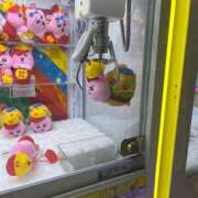 ヒメ日記 2025/11/06 07:15 投稿 はつね CECIL