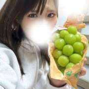 ヒメ日記 2025/11/11 12:58 投稿 はつね CECIL