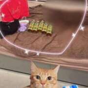 ヒメ日記 2025/11/12 14:59 投稿 はつね CECIL