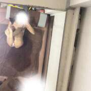 ヒメ日記 2025/11/13 23:30 投稿 はつね CECIL