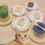 ヒメ日記 2025/11/14 12:16 投稿 はつね CECIL