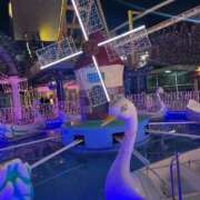 ヒメ日記 2025/11/22 07:24 投稿 はつね CECIL