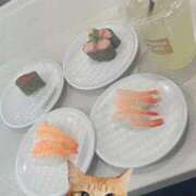 ヒメ日記 2025/12/18 07:15 投稿 はつね CECIL