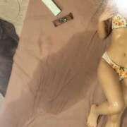 ヒメ日記 2026/02/16 07:45 投稿 はつね CECIL