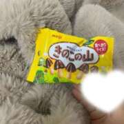 ヒメ日記 2026/03/08 06:45 投稿 はつね CECIL