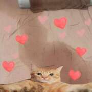 ヒメ日記 2026/03/22 00:30 投稿 はつね CECIL