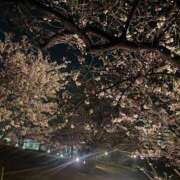 ヒメ日記 2026/03/29 23:24 投稿 はつね CECIL