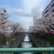 ヒメ日記 2026/03/31 22:37 投稿 はつね CECIL