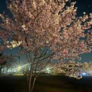 ヒメ日記 2026/04/03 15:18 投稿 はつね CECIL