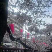 ヒメ日記 2026/04/09 14:21 投稿 はつね CECIL