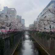 ヒメ日記 2026/04/10 13:53 投稿 はつね CECIL