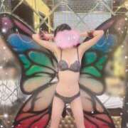 ヒメ日記 2026/04/07 08:42 投稿 夢川あいか 渋谷ガーデン