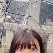 ヒメ日記 2026/04/09 11:42 投稿 夢川あいか 渋谷ガーデン