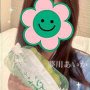 ヒメ日記 2026/06/29 09:02 投稿 夢川あいか 渋谷ガーデン
