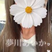 ヒメ日記 2026/09/07 11:02 投稿 夢川あいか 渋谷ガーデン