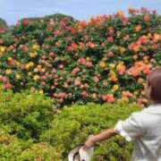 ヒメ日記 2025/05/28 10:17 投稿 ウシオ ドMな奥さん 日本橋店