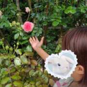 ヒメ日記 2025/05/31 17:37 投稿 ウシオ ドMな奥さん 日本橋店