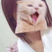 ヒメ日記 2025/11/14 10:44 投稿 ウシオ ドMな奥さん 日本橋店