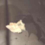 ヒメ日記 2025/06/13 18:30 投稿 すーちゃん☆イマドキ未経験 JKサークル