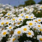 ヒメ日記 2025/05/06 19:01 投稿 ミカサ 【福岡デリヘル】20代・30代★博多で評判のお店はココです！