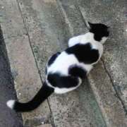 ヒメ日記 2025/10/06 08:45 投稿 ミカサ 【福岡デリヘル】20代・30代★博多で評判のお店はココです！