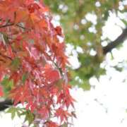 ヒメ日記 2025/11/01 08:45 投稿 ミカサ 【福岡デリヘル】20代・30代★博多で評判のお店はココです！