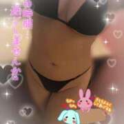 ヒメ日記 2025/02/11 12:21 投稿 葉桜 熟女の風俗最終章 横浜本店