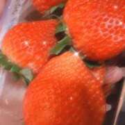 ヒメ日記 2025/03/20 01:18 投稿 葉桜 熟女の風俗最終章 横浜本店