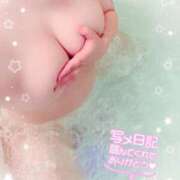 ヒメ日記 2025/04/02 23:54 投稿 葉桜 熟女の風俗最終章 横浜本店