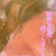 ヒメ日記 2025/04/06 23:22 投稿 葉桜 熟女の風俗最終章 横浜本店