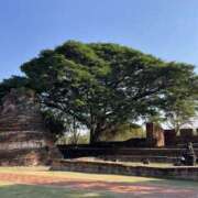 ヒメ日記 2025/02/17 00:41 投稿 菜津/なつ 五反田アネージュ（ユメオト）