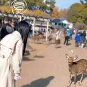 ヒメ日記 2026/09/30 10:11 投稿 ゆあ ZERO-i