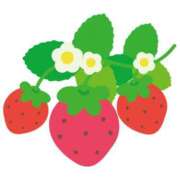 ヒメ日記 2025/03/25 16:52 投稿 ふわり エスッテ×エスッテ