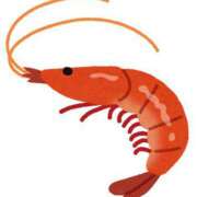 ヒメ日記 2025/05/15 15:30 投稿 ふわり エスッテ×エスッテ