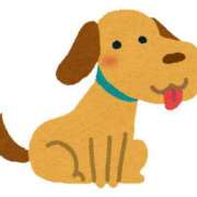 ヒメ日記 2025/08/03 17:31 投稿 ふわり エスッテ×エスッテ