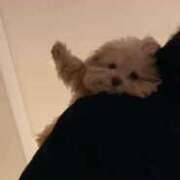 ヒメ日記 2025/03/18 18:09 投稿 及川 鶯谷デッドボール