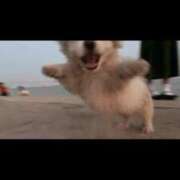 ヒメ日記 2025/03/25 12:39 投稿 及川 鶯谷デッドボール