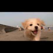 ヒメ日記 2025/03/28 18:29 投稿 及川 鶯谷デッドボール