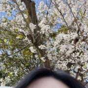 ヒメ日記 2025/04/05 19:29 投稿 及川 鶯谷デッドボール