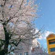 ヒメ日記 2025/04/11 11:49 投稿 及川 鶯谷デッドボール