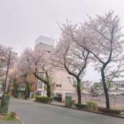 ヒメ日記 2025/04/20 16:04 投稿 及川 鶯谷デッドボール