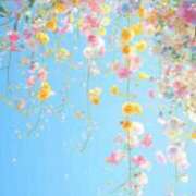 ヒメ日記 2025/04/20 18:31 投稿 及川 鶯谷デッドボール