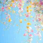 ヒメ日記 2025/04/21 12:39 投稿 及川 鶯谷デッドボール